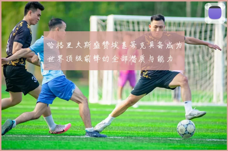 哈格里夫斯盛赞埃基蒂克具备成为世界顶级前锋的全部潜质与能力