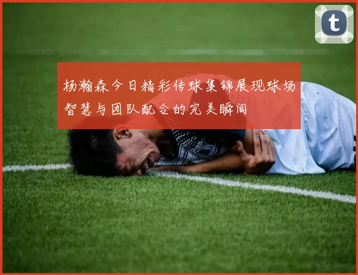 杨瀚森今日精彩传球集锦展现球场智慧与团队配合的完美瞬间