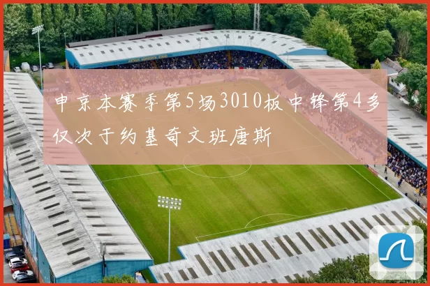 申京本赛季第5场3010板中锋第4多仅次于约基奇文班唐斯