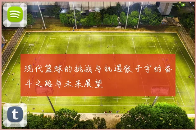 现代篮球的挑战与机遇张子宇的奋斗之路与未来展望