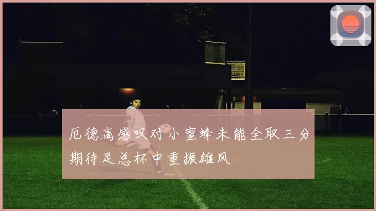 厄德高感叹对小蜜蜂未能全取三分期待足总杯中重振雄风
